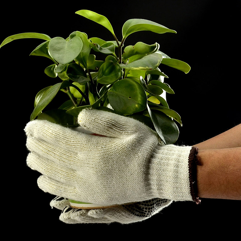 قفازات العمل البلاستيكية النقاط البلاستيكية FL-7259