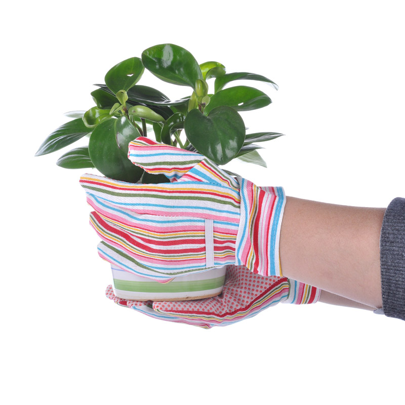 قفازات عمل الحديقة المنقطة PVC FL-5534